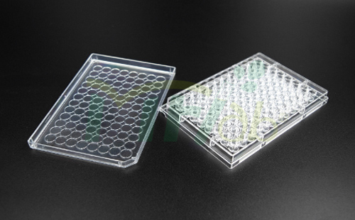 Microplates(1)